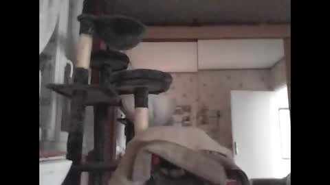 jojo60000529566 online show from 03-04-25, 03:15