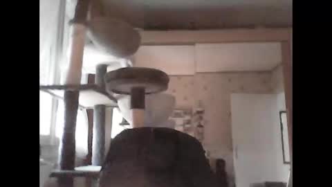 jojo60000529566 online show from 09-29-25, 05:07