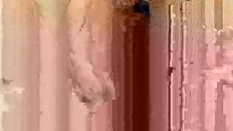 jonathanrossmyers858 online show from 01-21-25, 03:48