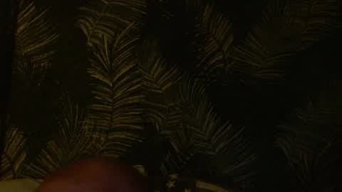 John online show from 01-22-25, 04:55