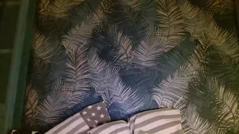 John online show from 01-24-25, 10:51