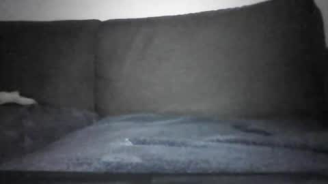 Hentai Jo online show from 12-12-24, 07:15