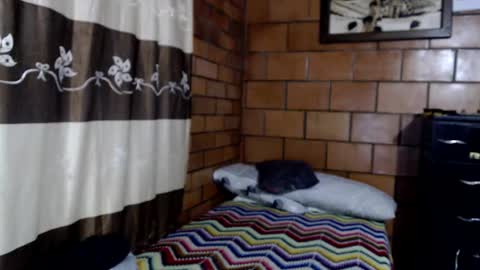 joseph online show from 10-22-25, 03:07