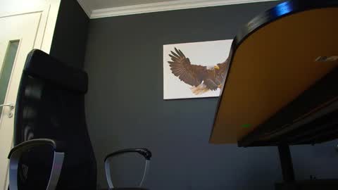 JoshKnight online show from 03-04-25, 08:13