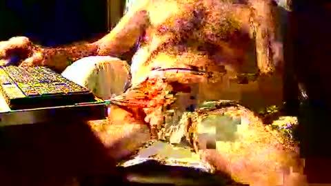 joystik4u60 online show from 11-02-25, 01:35