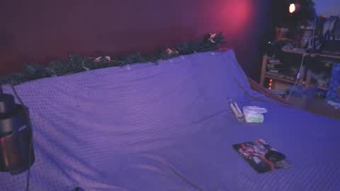 Arina online show from 12-27-24, 01:39