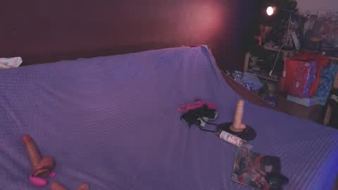 Arina online show from 01-26-25, 07:41