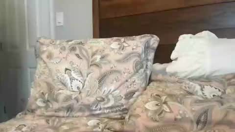 Snapshot of juicy1time chatting on 02-22-25, 02:52 juicy1time online show from 02-22-25, 02:52