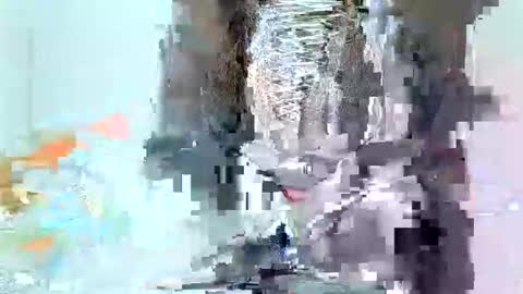 juicyebonitaa online show from 11-04-25, 06:45