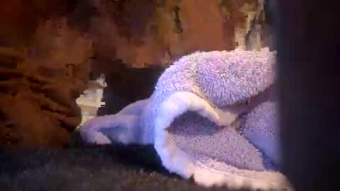 Juish5521 online show from 03-06-25, 10:09