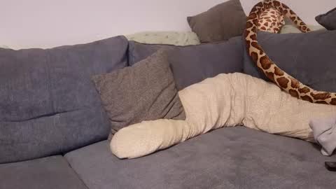 julia_official online show from 11-11-25, 10:21