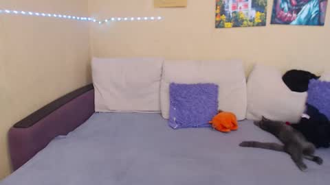 Jul online show from 09-12-25, 02:06