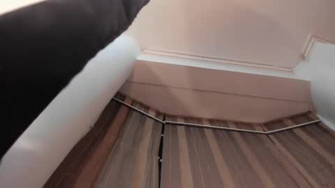 Jupiter Fox online show from 10-15-25, 12:33