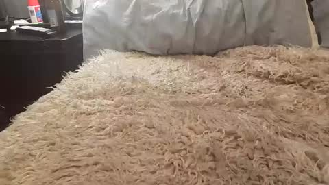 Snapshot of jusme6269 chatting on 01-08-25, 01:00 Jusme6269 online show from 01-08-25, 01:00