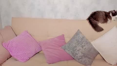 Snapshot of just_alex__ chatting on 06-24-26, 01:15 Alex Alexandra online show from 06-24-26, 01:15