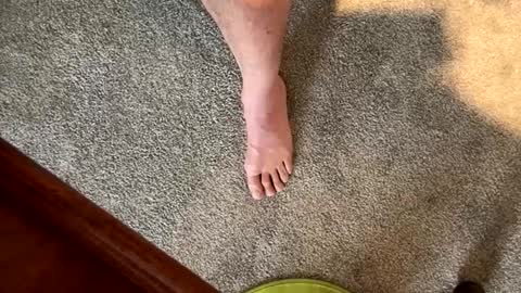 justanudedude online show from 12-05-24, 01:38