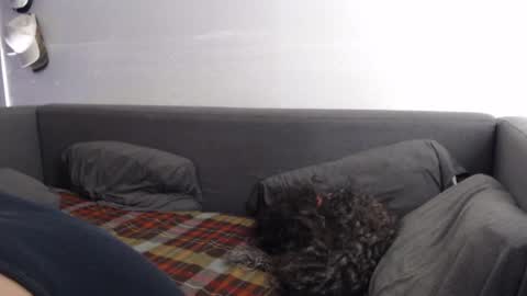 Snapshot of justasucker4u chatting on 11-20-25, 01:44 justasucker4u online show from 11-20-25, 01:44