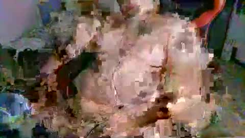 juteja online show from 09-13-25, 10:20