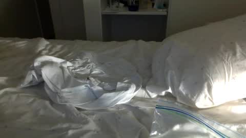 Snapshot of jwill10000 chatting on 01-23-25, 11:37 J and Sugar snap pea online show from 01-23-25, 11:37