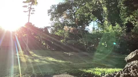 Snapshot of kaileeshy chatting on 09-10-25, 03:28 Kailee Smile online show from 09-10-25, 03:28