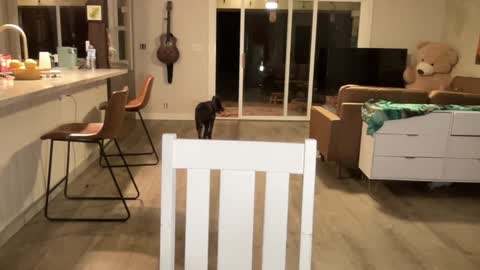 Snapshot of kaileeshy chatting on 09-27-25, 04:39 Kailee Smile online show from 09-27-25, 04:39