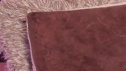 Snapshot of kalimonroee chatting on 12-29-24, 05:22 KaliMonroe online show from 12-29-24, 05:22