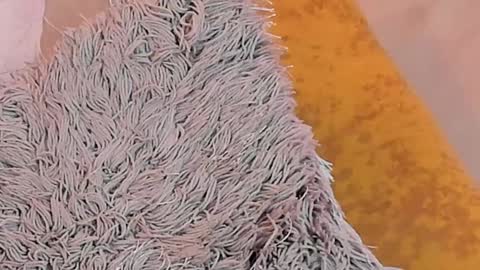 Snapshot of kalimonroee chatting on 01-26-25, 05:13 KaliMonroe online show from 01-26-25, 05:13