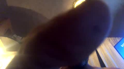 Snapshot of kaneisyours2420 chatting on 09-23-25, 08:06 Tucker online show from 09-23-25, 08:06