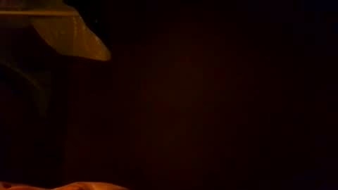 Karla Gonzaless online show from 11-04-25, 06:56