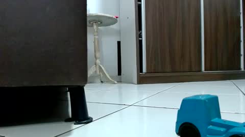 Snapshot of kasaltaradinho chatting on 10-09-25, 08:29 Tamires e Maicon online show from 10-09-25, 08:29