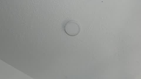 love meeee online show from 01-16-25, 02:41