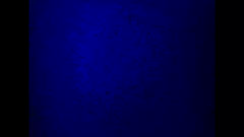 kathy online show from 03-05-25, 10:21