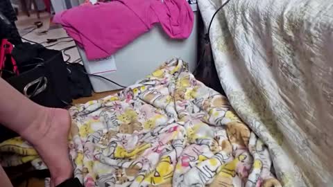 Snapshot of katladyzsafespace chatting on 12-04-25, 05:54 katladyzsafespace online show from 12-04-25, 05:54