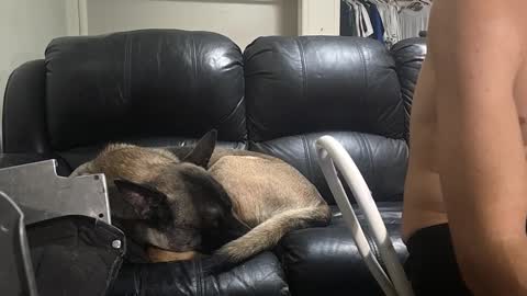 Dexter online show from 02-16-25, 11:05