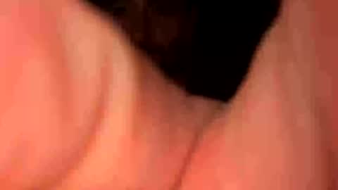 keepquietj online show from 01-20-25, 05:26