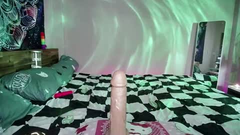 Snapshot of kellycakemeow chatting on 12-02-24, 05:15 Kelly online show from 12-02-24, 05:15