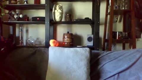 Ken Kuddles online show from 01-17-25, 10:12