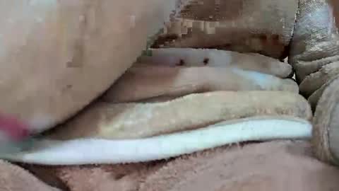 khushisinghh online show from 01-22-25, 04:02