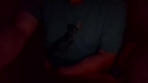 Snapshot of khw444 chatting on 09-20-25, 10:49 jesse444 cum show online show from 09-20-25, 10:49