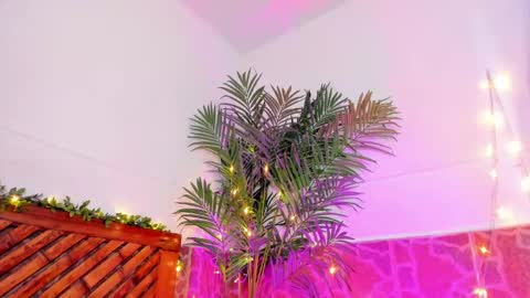 Snapshot of kimberly_gonzalez1 chatting on 01-11-25, 06:45 kimberly gonzalez online show from 01-11-25, 06:45