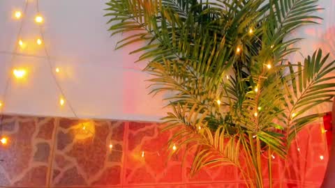 Snapshot of kimberly_gonzalez1 chatting on 01-17-25, 03:45 kimberly gonzalez online show from 01-17-25, 03:45