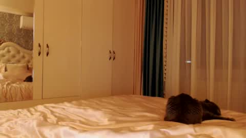 Kim Lee  online show from 12-14-24, 07:14