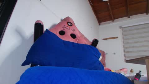 Bella online show from 01-21-25, 03:04