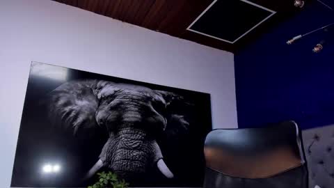 Angel Falconer online show from 01-15-26, 02:16