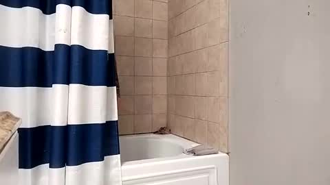 kingdongkonglong online show from 01-21-25, 05:05