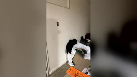 kingecstasyxxxddd online show from 01-16-26, 08:51