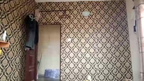 kingemizzy online show from 02-03-26, 08:08