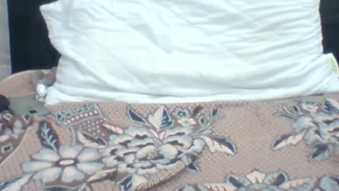 Snapshot of kingjordan122 chatting on 01-04-25, 06:09 kingjordan122 online show from 01-04-25, 06:09