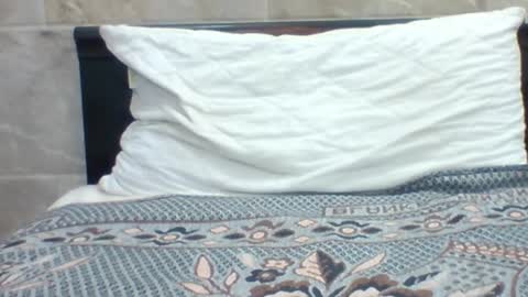 Snapshot of kingjordan122 chatting on 01-30-25, 07:15 kingjordan122 online show from 01-30-25, 07:15