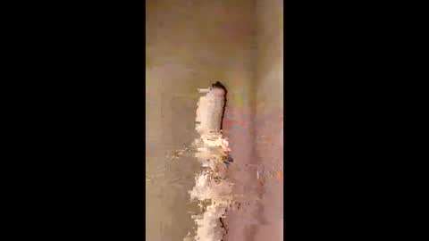 kini8278 online show from 02-21-26, 01:56